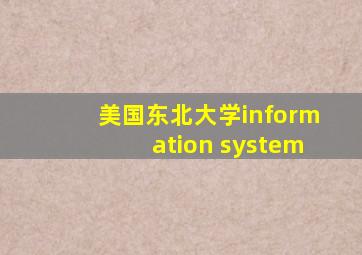 美国东北大学information system